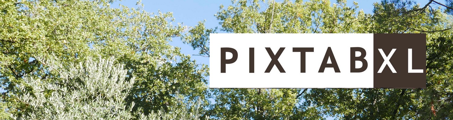 pixtabxl.fr